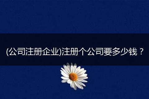 (公司注册企业)注册个公司要多少钱？