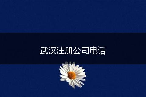 武汉注册公司电话
