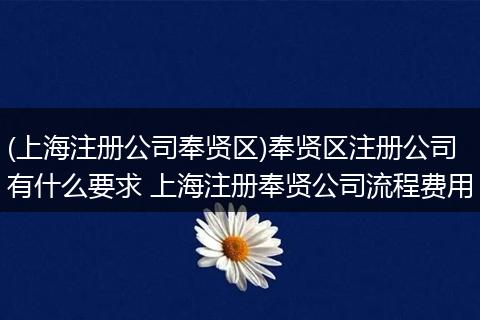 (上海注册公司奉贤区)奉贤区注册公司有什么要求 上海注册奉贤公司流程费用