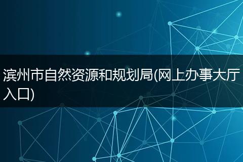 滨州市自然资源和规划局(网上办事大厅入口)