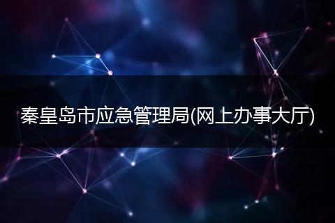 秦皇岛市应急管理局(网上办事大厅)