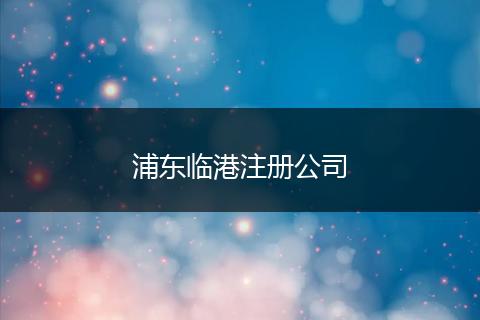 浦东临港注册公司