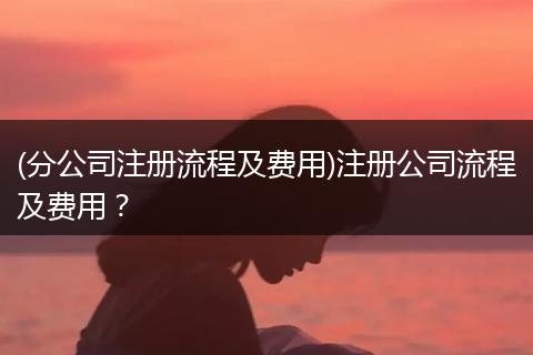 (分公司注册流程及费用)注册公司流程及费用？