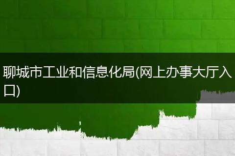 聊城市工业和信息化局(网上办事大厅入口)
