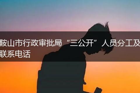 鞍山市行政审批局“三公开”人员分工及联系电话