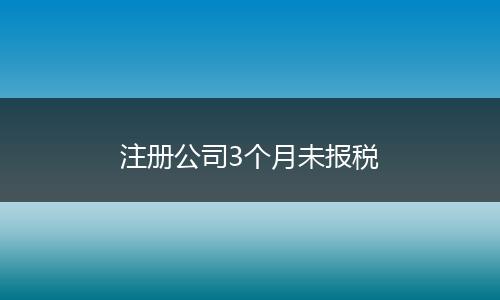 注册公司3个月未报税