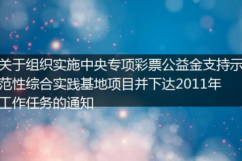 关于组织实施中央专项彩票公益金支持示范性综合实践基地项目并下达2011年工作任务的通知