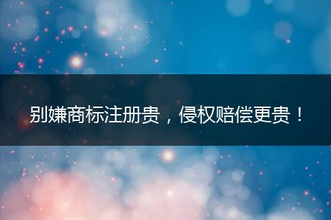 别嫌商标注册贵，侵权赔偿更贵！