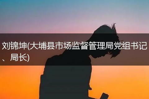 刘锦坤(大埔县市场监督管理局党组书记、局长)