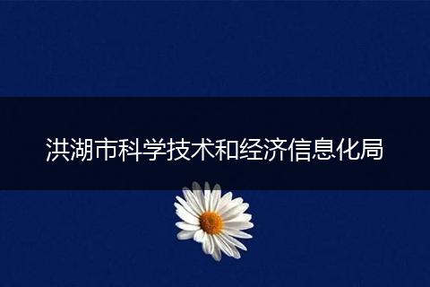 洪湖市科学技术和经济信息化局