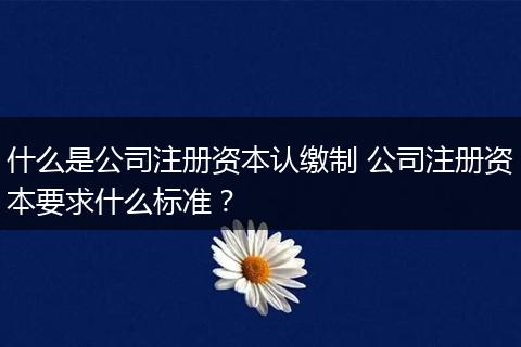 什么是公司注册资本认缴制 公司注册资本要求什么标准？