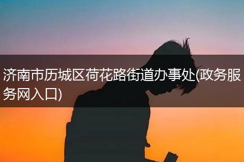 济南市历城区荷花路街道办事处(政务服务网入口)