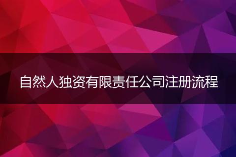 自然人独资有限责任公司注册流程
