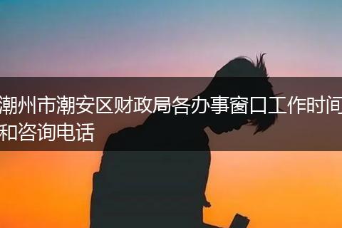 潮州市潮安区财政局各办事窗口工作时间和咨询电话