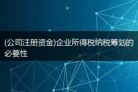 (公司注册资金)企业所得税纳税筹划的必要性