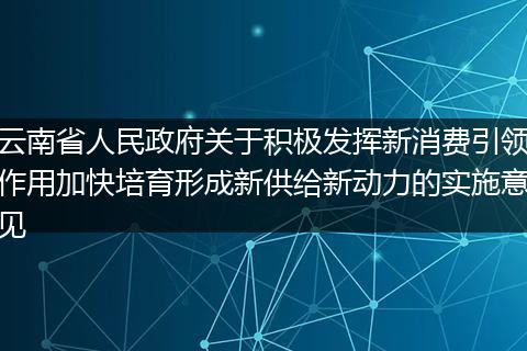 云南省人民政府关于积极发挥新消费引领作用加快培育形成新供给新动力的实施意见