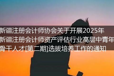 新疆注册会计师协会关于开展2025年新疆注册会计师资产评估行业高层中青年骨干人才[第二期]选拔培养工作的通知