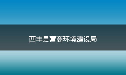 西丰县营商环境建设局