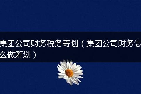 集团公司财务税务筹划（集团公司财务怎么做筹划）