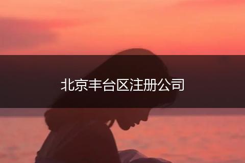 北京丰台区注册公司