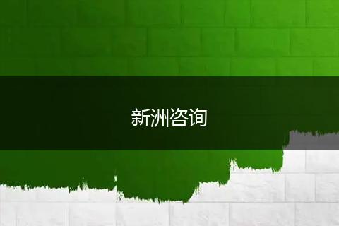 新洲咨询