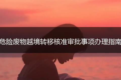 危险废物越境转移核准审批事项办理指南