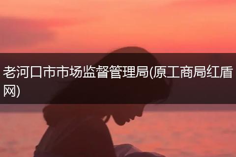 老河口市市场监督管理局(原工商局红盾网)