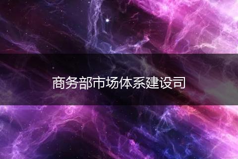 商务部市场体系建设司