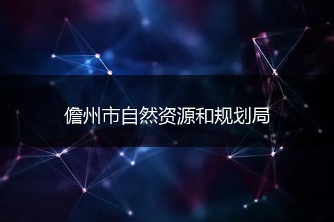 儋州市自然资源和规划局
