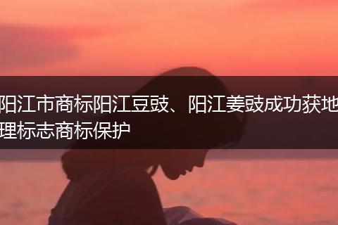 阳江市商标阳江豆豉、阳江姜豉成功获地理标志商标保护