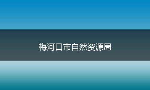 梅河口市自然资源局