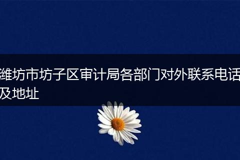 潍坊市坊子区审计局各部门对外联系电话及地址