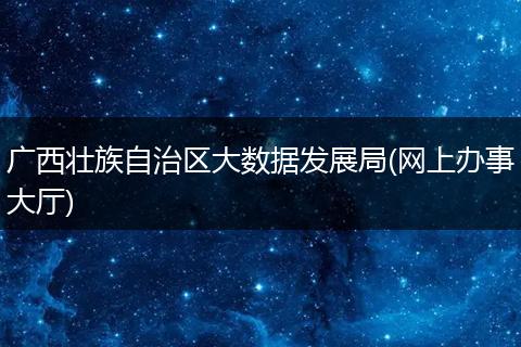广西壮族自治区大数据发展局(网上办事大厅)