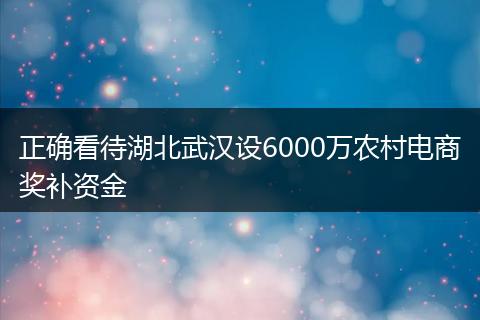 正确看待湖北武汉设6000万农村电商奖补资金