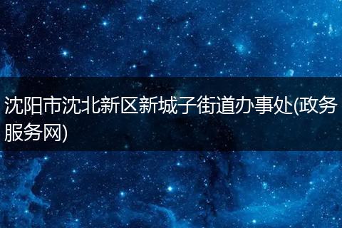 沈阳市沈北新区新城子街道办事处(政务服务网)