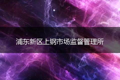 浦东新区上钢市场监督管理所