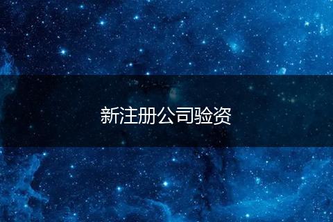 新注册公司验资