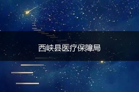 西峡县医疗保障局