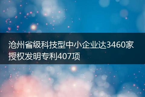 沧州省级科技型中小企业达3460家 授权发明专利407项