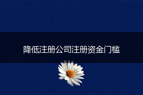 降低注册公司注册资金门槛