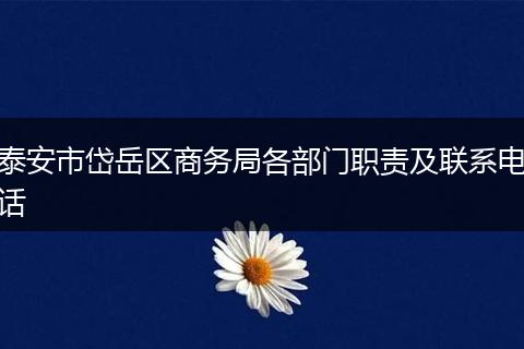 泰安市岱岳区商务局各部门职责及联系电话