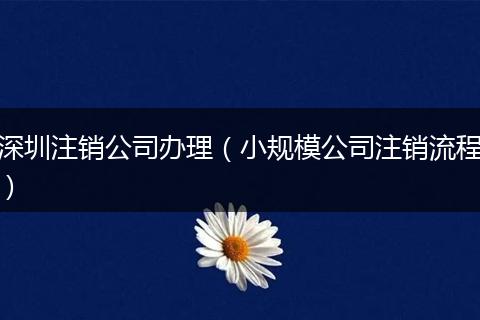 深圳注销公司办理（小规模公司注销流程）