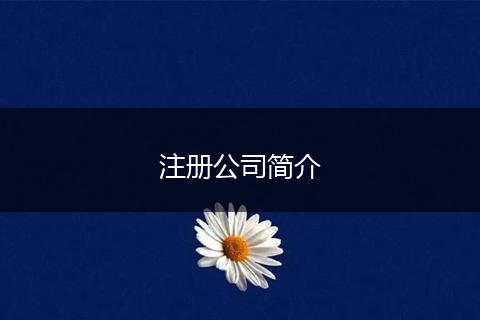 注册公司简介