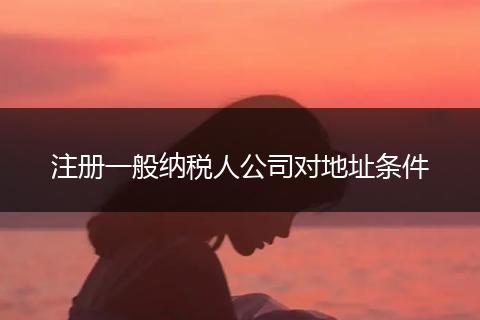 注册一般纳税人公司对地址条件