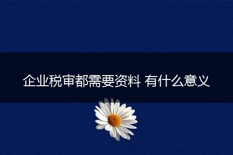 企业税审都需要资料 有什么意义