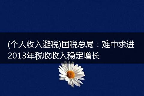 (个人收入避税)国税总局:难中求进 2013年税收收入稳定增长