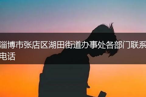 淄博市张店区湖田街道办事处各部门联系电话