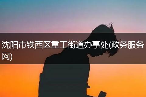 沈阳市铁西区重工街道办事处(政务服务网)
