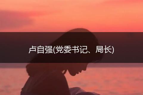 卢自强(党委书记、局长)