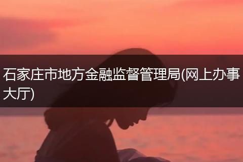 石家庄市地方金融监督管理局(网上办事大厅)
